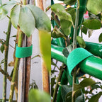 Self-adhesive nylon cable ties