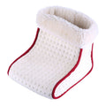 Electric foot warmer