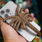 Specially shaped phone holder