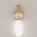 Multipurpose Night Lighting with Sensor
