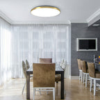 Ceiling Light Round LED Modern Flush Fixture
