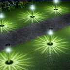 Elegant Solar Garden Lighting