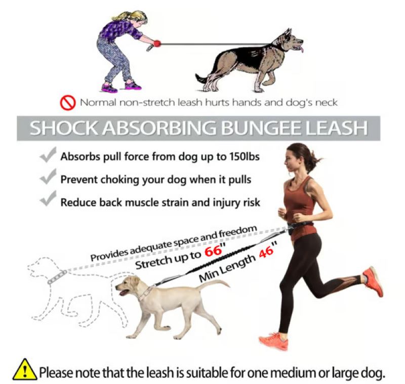 Hands Free Dog Leash with Zipper Bag