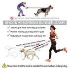 Hands Free Dog Leash with Zipper Bag