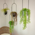 Luxury Modern Hanging Pots