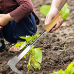 Stainless Steel Weed Puller Tool for Cracks and Crevices