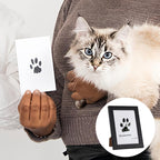 Animal Paw Print Set