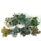 Artificial Hanging Plant for Natural Decoration in Indoor and Outdoor Areas