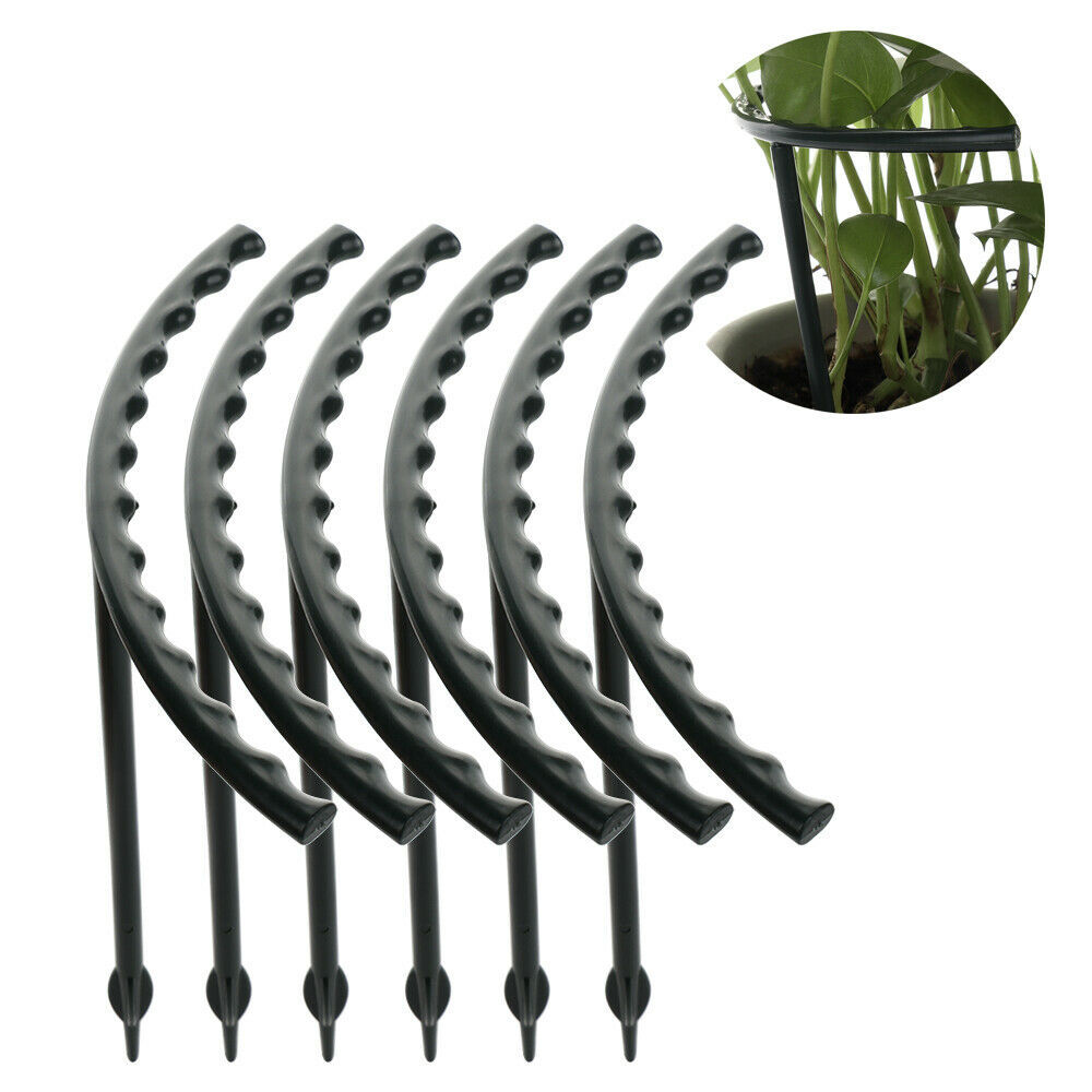 Climbing support for plants – Robust holder with cage design for growth and stability