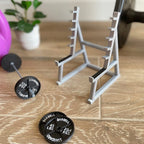 Squat Rack Pin Holder