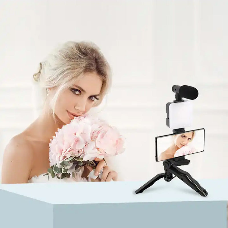 Spotlight with Microphone Kit