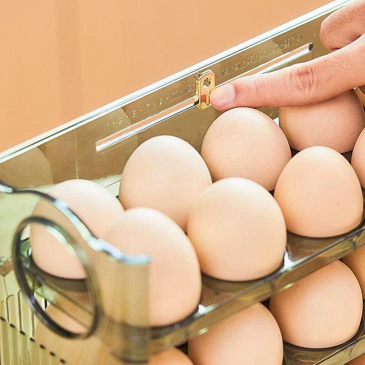 Practical Egg Organizer
