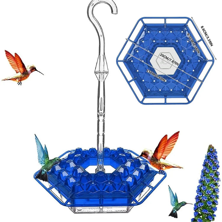 KolibriKracher — Create a vibrant bird paradise right in your garden!