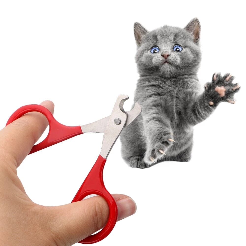 Nail Clipper