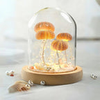 LumiCraft – Unique DIY table lamp with natural sea shell for a cozy décor