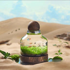 Compact Glass Micro Aquarium with 24 × 17 cm and 36 × 17 cm Options