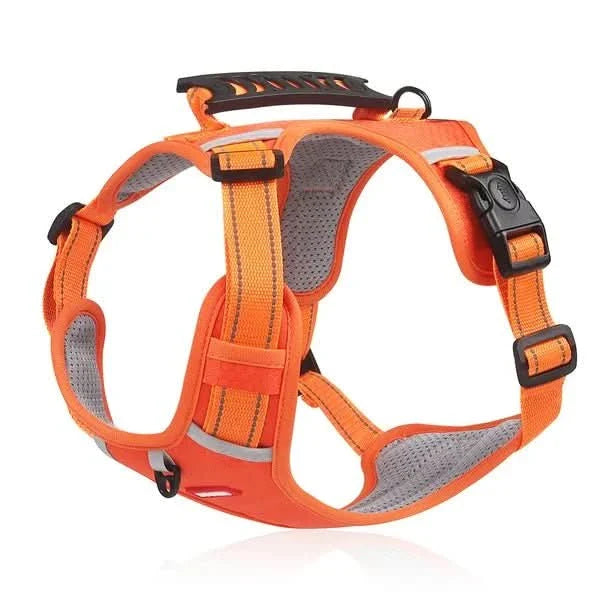 Anti-Pull Dog Harness for Relaxed Walks