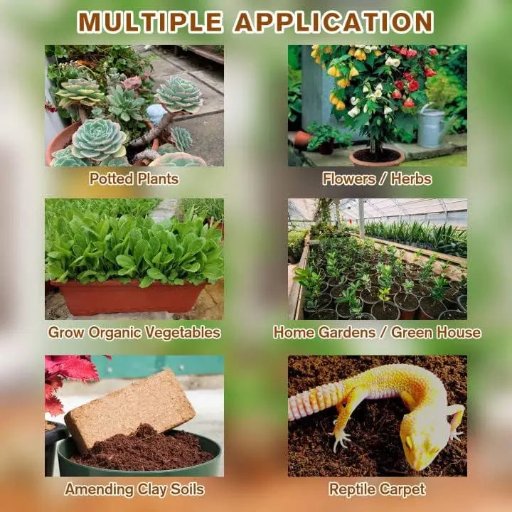 2-Piece Set Coconut Coir Briquettes for Plants – Organic Growing Substrate with High Water Retention!