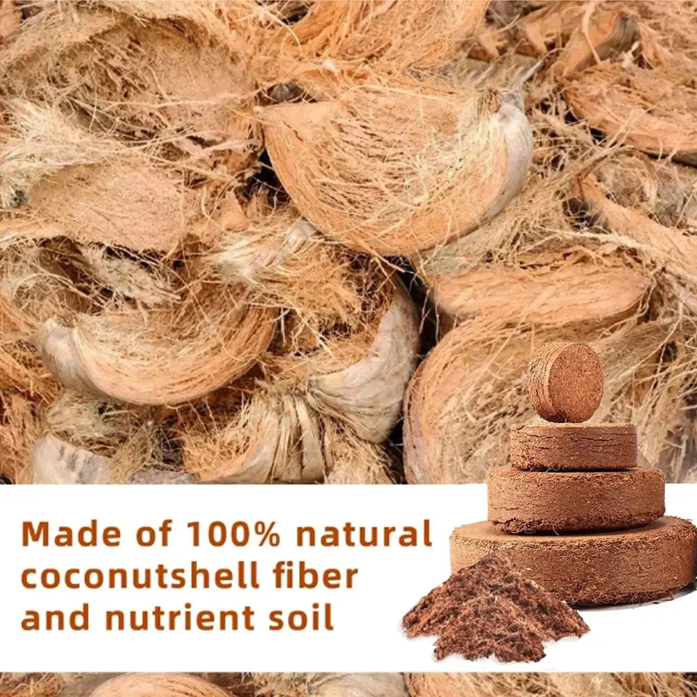 2-Piece Set Coconut Coir Briquettes for Plants – Organic Growing Substrate with High Water Retention!
