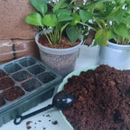 2-Piece Set Coconut Coir Briquettes for Plants – Organic Growing Substrate with High Water Retention!