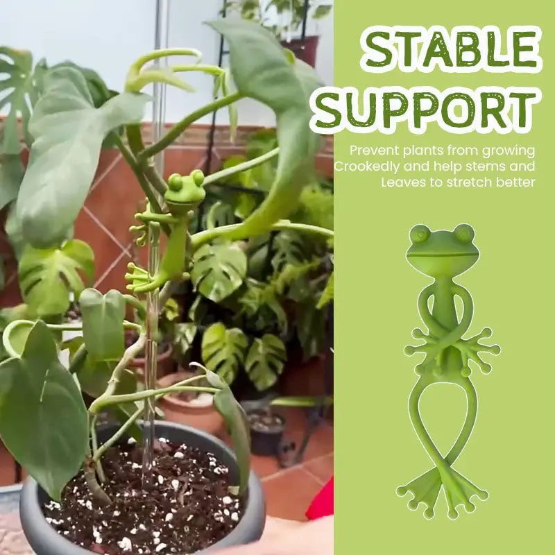 2-piece set plant holders in frog shape – for small pots & succulents!