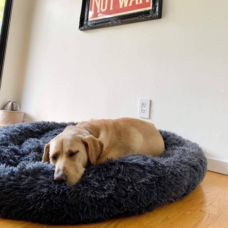 Orthopedic Plush Donut Dog Bed
