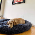 Orthopedic Plush Donut Dog Bed