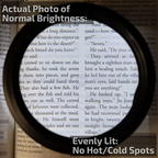 LED Reading Glasses Magnifier