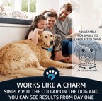 Anti-Bark Collar