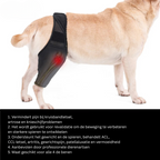 PootVitaal Knee Brace for Dogs – Support for Joint Pain and Rehabilitation