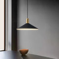 Simple Modern Conical LED Pendant Light