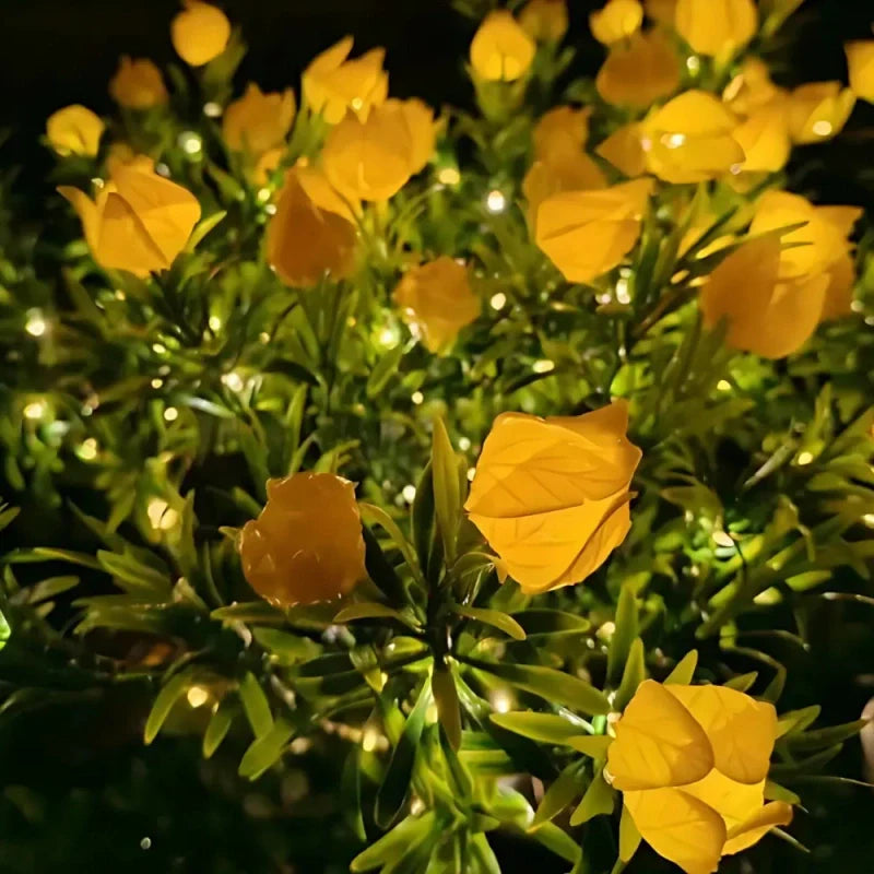 Everbloom Solar Flower Lights