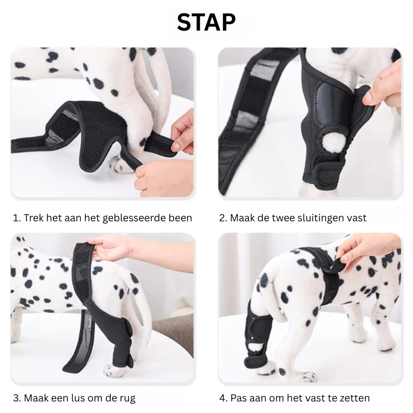 PootVitaal Knee Brace for Dogs – Support for Joint Pain and Rehabilitation