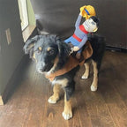 The Cowboy Rider Dog Costume