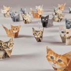 50-Sheet Cat Origami Kit