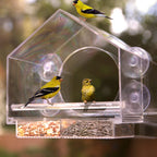 Bird feeder in the window for outdoor use