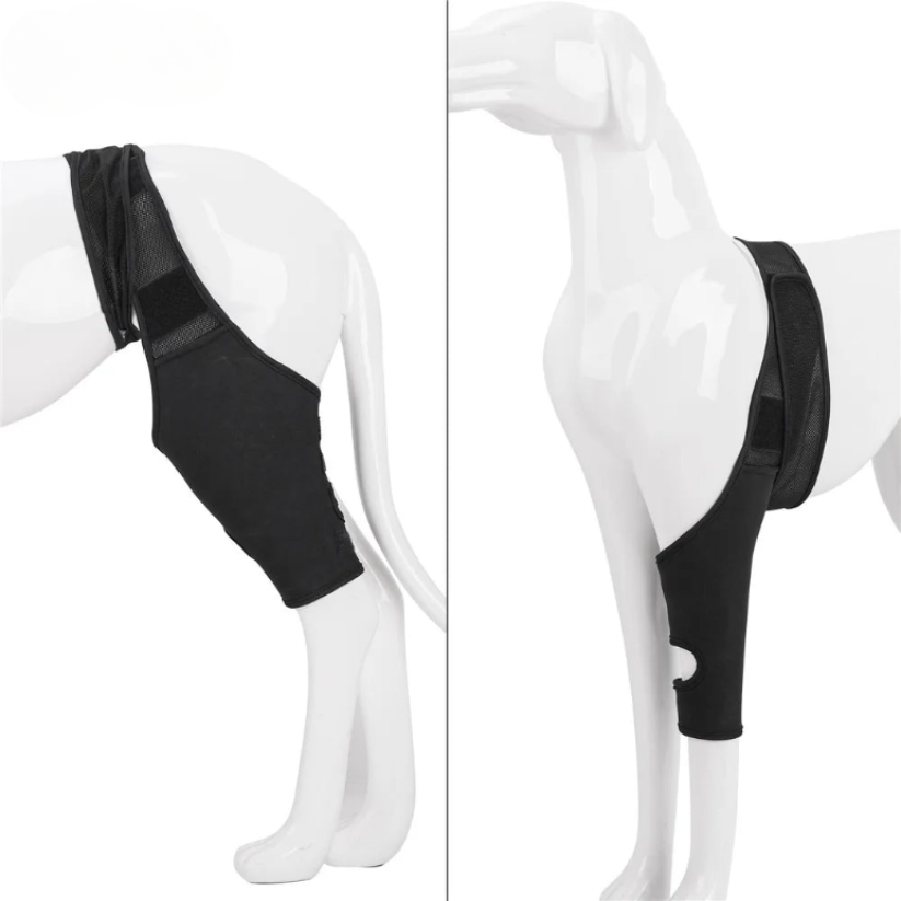 PootVitaal Knee Brace for Dogs – Support for Joint Pain and Rehabilitation