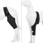 PootVitaal Knee Brace for Dogs – Support for Joint Pain and Rehabilitation