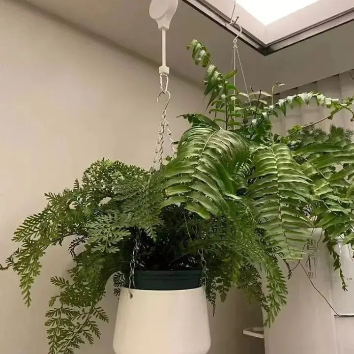 FlexiBloom — Get effortless plant care and a stylish home without back pain! (2 pieces)