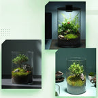 Mini Forest Maker Terrarium Decor Vase