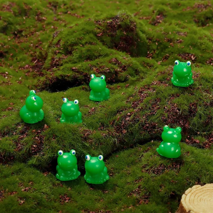 Tiny Frog | Challenge Hiding Frog
