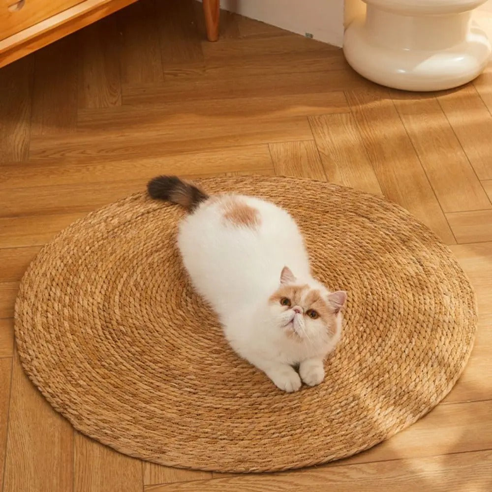 KrazeLuxe Matte — Finally peace from scratching chaos and the favorite spot for your cat