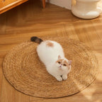 KrazeLuxe Matte — Finally peace from scratching chaos and the favorite spot for your cat