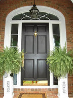 Lifelike Greenery Decor Fern