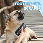 FurMaster – For a clean, shiny, and happy pet