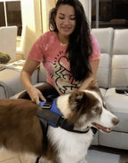 Anti Choke Dog Harness