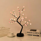 Plum Blossom