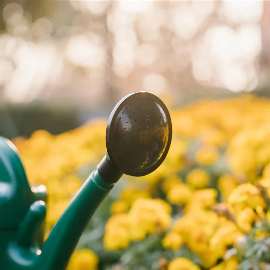 Watering can with large capacity and long spout for precise watering and plant care