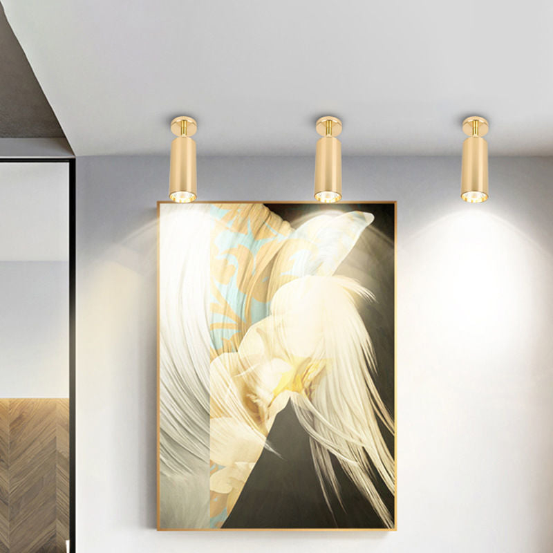 Golden Strip Light Simple Living Room Shop Restaurant Clothing Store Away Shoot Lamps