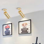 Golden Strip Light Simple Living Room Shop Restaurant Clothing Store Away Shoot Lamps